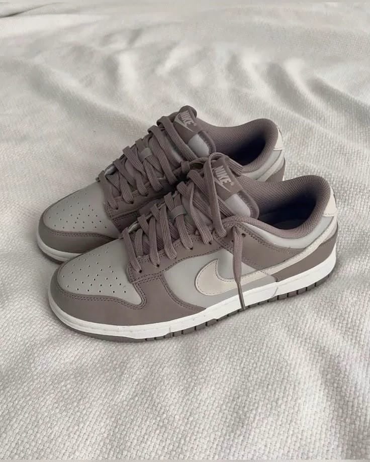 Nike Dunk Low Moon Fossil Nike sneaker in taupe / grey