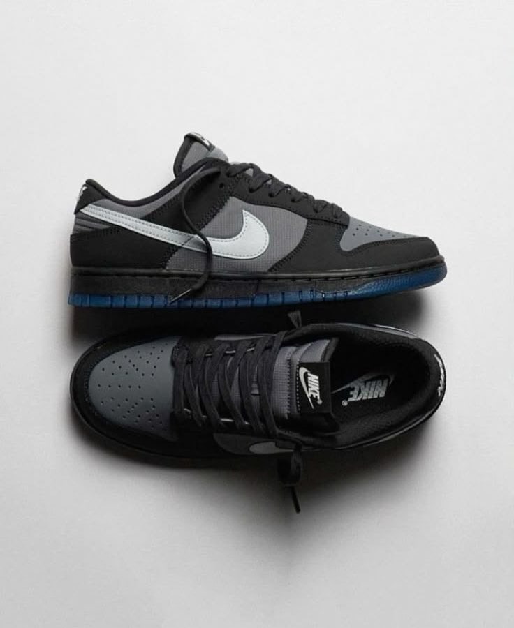 Nike Dunk Low Reverse Grey Nike sneaker in grey / black