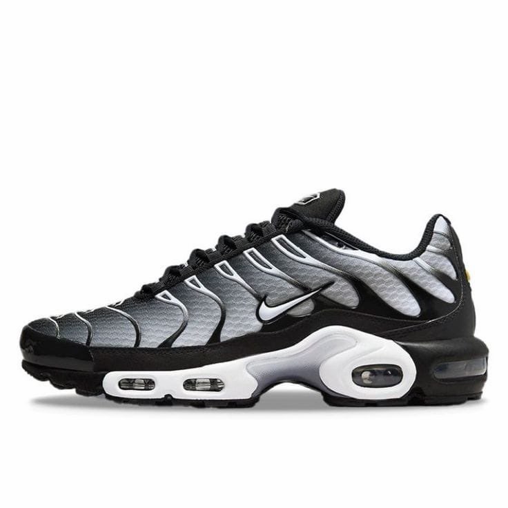 Nike Air Max Plus Silver Nike sneaker in silver / black